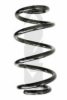 SPIDAN 86527 Coil Spring